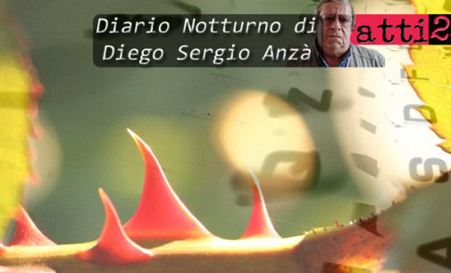 DIARIO NOTTURNO – Vortice di spine (di Diego Sergio Anzà)