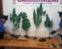 BARCELLONA P.G.  – Marijuana e munizioni. Arrestato 23enne