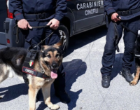 MESSINA – Controlli a tappeto dei Carabinieri: arresti e denunce nella zona Sud