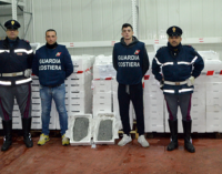 VILLAFRANCA TIRRENA – Sequestrati 1309 kg. di novellame di sarda e gamberi.