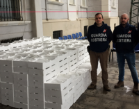 MESSINA – Sequestrati 1.340 Kg di ”novellame di sardina” meglio conosciuta localmente come “neonata”