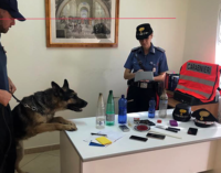 CAPO D’ORLANDO – Detenzione di droga ai fini di spaccio. 3 arresti in flagranza di reato