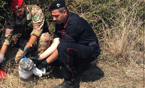 MESSINA – Rinvenuta marijuana in contenitori di vetro, in parte interrati ed in parte nascosti tra i rovi