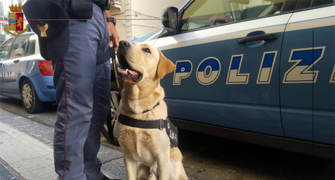 MESSINA – Scuole Sicure. Contrasto spaccio di sostanze stupefacenti. Controlli a Patti e Capo d’Orlando