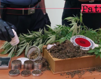 BROLO – Coltivava in casa della marijuana. Arrestato 38enne