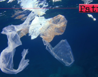 MILAZZO – “Let’s free the sea”. Liberare i fondali dell’Area marina protetta dalle reti da pesca e dalle plastiche.