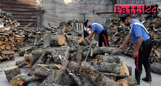 MISTRETTA – Tentano di rubare legna in area boschiva demaniale per rivenderla. 2 arresti