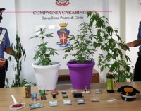 BARCELLONA P.G. – Coltiva e detiene sostanze stupefacenti in casa. Arrestato 57enne