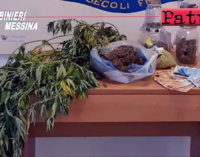 TERME VIGLIATORE -Coltivava marijuana in casa. Arrestato 32enne