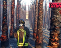 TORREGROTTA – Piante in fiamme in un vivaio. Il rogo ha coinvolto un’area di circa 1000 mq con 1000 palme.