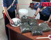 MESSINA – Circa 3 kg di marijuana tra cartongesso e vernice in un veicolo. Arrestata coppia di coniugi.