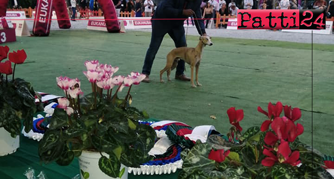 PATTI – Concorso per cani al campeggio “Marinello”