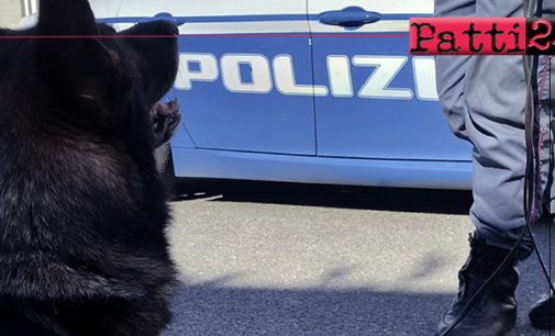 MESSINA – Il fiuto del cane poliziotto Kent porta dritti a hashish e marijuana nascosti in una scarpiera. Arrestato 39enne