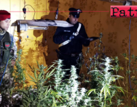 MESSINA – Occupa abusivamente un’abitazione per realizzare all’interno una serra di marijuana, alimentata dall’energia elettrica sottratta dalla rete pubblica. Arrestato 35enne