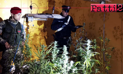 MESSINA – Occupa abusivamente un’abitazione per realizzare all’interno una serra di marijuana, alimentata dall’energia elettrica sottratta dalla rete pubblica. Arrestato 35enne