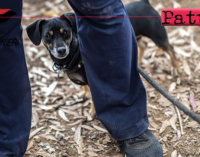 GIARDINI NAXOS – Con la scusa di portare il cane per i bisogni, evade dai domiciliari. Arrestato 39enne