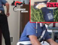 MESSINA – Piante di cannabis e marijuana in casa. Arrestato 41enne