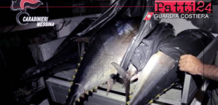 EOLIE – Violazioni norme sulla pesca. A Panarea sequestrate attrezzature e 4 grossi esemplari di tonno rosso, sanzionate 2 persone.