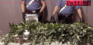 ALI’ TERME – Una serra artigianale in casa per produrre marijuana. Arrestato 49enne